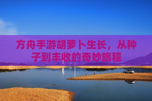 方舟手游胡萝卜生长,从种子到丰收的奇妙旅程