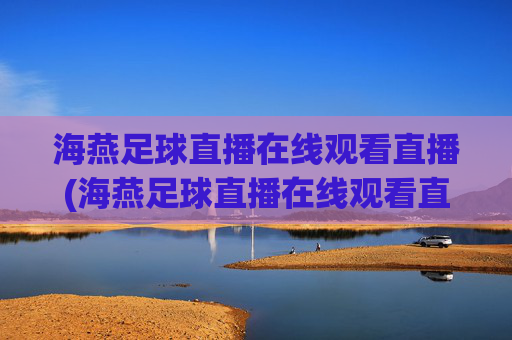 海燕足球直播在线观看直播(海燕足球直播在线观看直播回放)