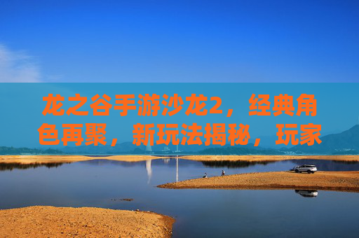 龙之谷手游沙龙2,经典角色再聚,新玩法揭秘,玩家共聚欢聚时光