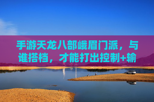 手游天龙八部峨眉门派,与谁搭档,才能打出控制+输出的完美配合?