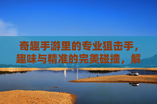 奇趣手游里的专业狙击手,趣味与精准的完美碰撞,解锁沉浸式射击新体验,奇趣狙击手,趣味与精准的完美碰撞,解锁沉浸式射击新体验