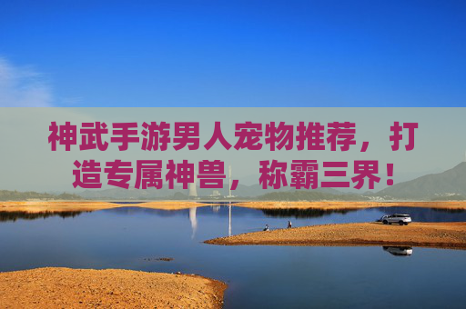 神武手游男人宠物推荐,打造专属神兽,称霸三界!