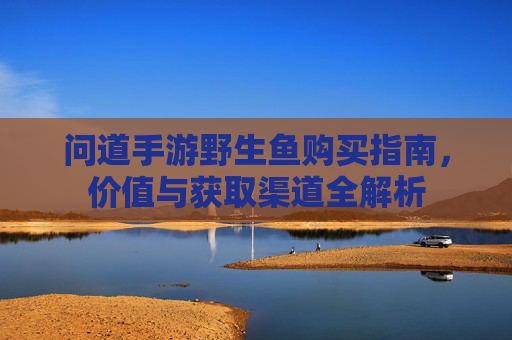 问道手游野生鱼购买指南，价值与获取渠道全解析