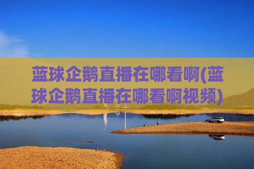 蓝球企鹅直播在哪看啊(蓝球企鹅直播在哪看啊视频)
