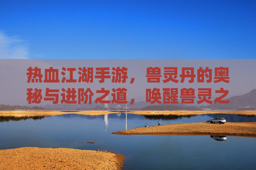 热血江湖手游，兽灵丹的奥秘与进阶之道，唤醒兽灵之力，再战江湖！