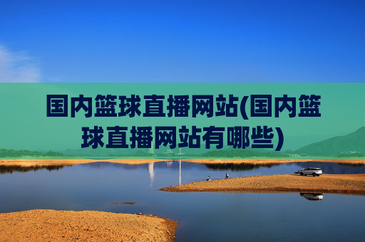 国内篮球直播网站(国内篮球直播网站有哪些)