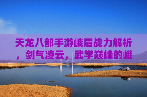 天龙八部手游峨眉战力解析,剑气凌云,武学巅峰的峨眉之道