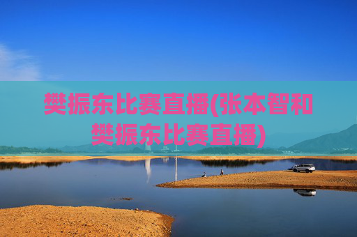 樊振东比赛直播(张本智和樊振东比赛直播)