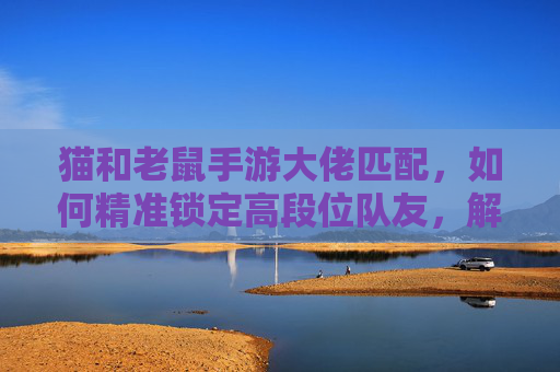 猫和老鼠手游大佬匹配,如何精准锁定高段位队友,解锁顶级对战体验?