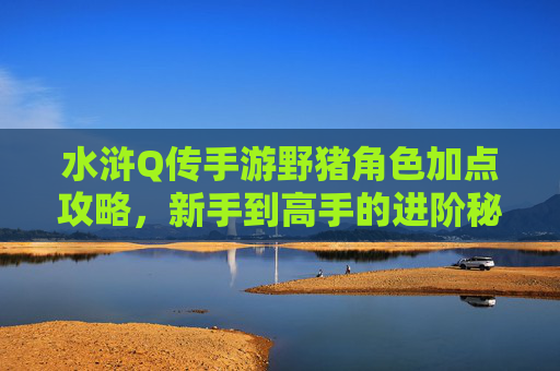 水浒Q传手游野猪角色加点攻略,新手到高手的进阶秘籍