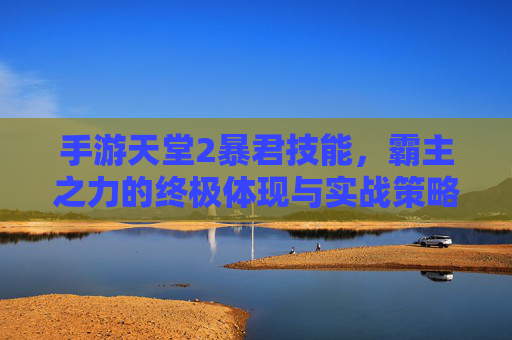 手游天堂2暴君技能,霸主之力的终极体现与实战策略解析