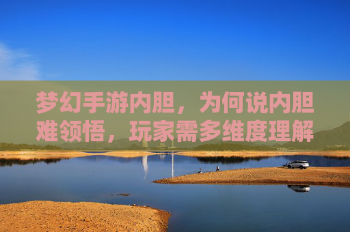 梦幻手游内胆,为何说内胆难领悟,玩家需多维度理解,梦幻手游内胆,为何难领悟?玩家需多维度理解其精髓