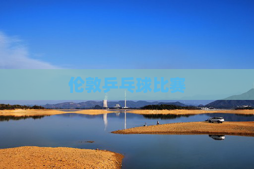 伦敦乒乓球比赛