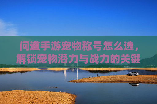 问道手游宠物称号怎么选,解锁宠物潜力与战力的关键指南