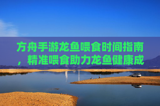 方舟手游龙鱼喂食时间指南,精准喂食助力龙鱼健康成长,方舟手游龙鱼喂食时间指南,精准喂食助力龙鱼健康成长