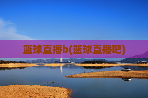 篮球直播b(篮球直播吧)