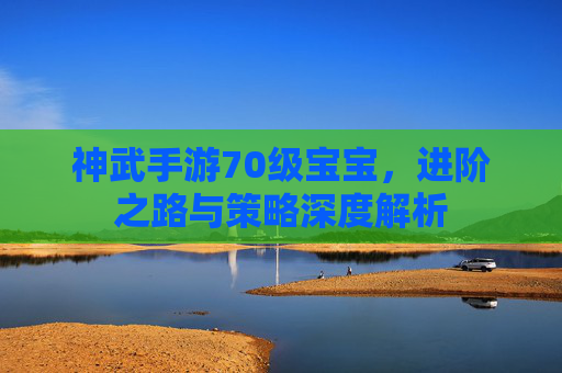 神武手游70级宝宝,进阶之路与策略深度解析