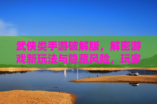 武侠类手游破解版，解密游戏新玩法与隐藏风险，玩家需谨慎抉择