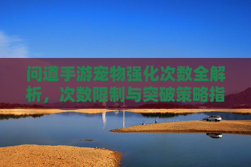 问道手游宠物强化次数全解析,次数限制与突破策略指南
