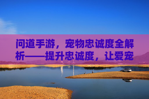 问道手游，宠物忠诚度全解析——提升忠诚度，让爱宠成为最强伙伴