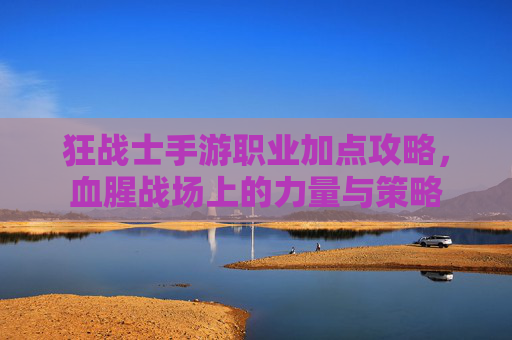 狂战士手游职业加点攻略,血腥战场上的力量与策略