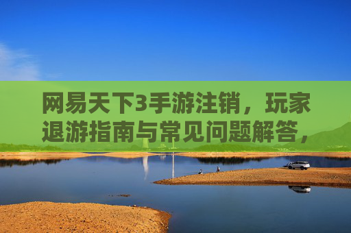网易天下3手游注销，玩家退游指南与常见问题解答，网易天下3手游注销，玩家退游指南与常见问题解答