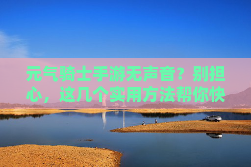 元气骑士手游无声音?别担心,这几个实用方法帮你快速解决!