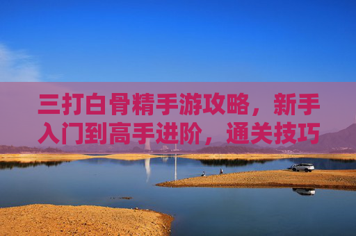 三打白骨精手游攻略,新手入门到高手进阶,通关技巧全解析