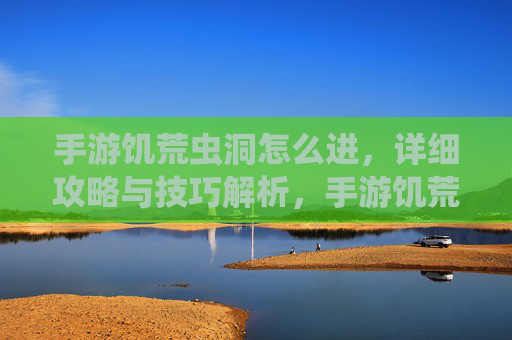 手游饥荒虫洞怎么进，详细攻略与技巧解析，手游饥荒虫洞怎么进，详细攻略与技巧解析