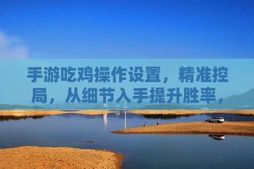 手游吃鸡操作设置,精准控局,从细节入手提升胜率,手游吃鸡操作设置,精准控局,从细节入手提升胜率