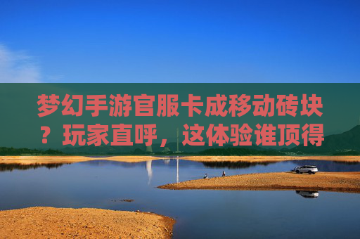 梦幻手游官服卡成移动砖块？玩家直呼，这体验谁顶得住？梦幻手游官服卡成移动砖块？玩家直呼，这体验谁顶得住？