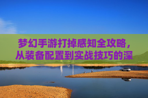 梦幻手游打掉感知全攻略，从装备配置到实战技巧的深度解析，梦幻手游打掉感知全攻略，装备配置与实战技巧深度解析