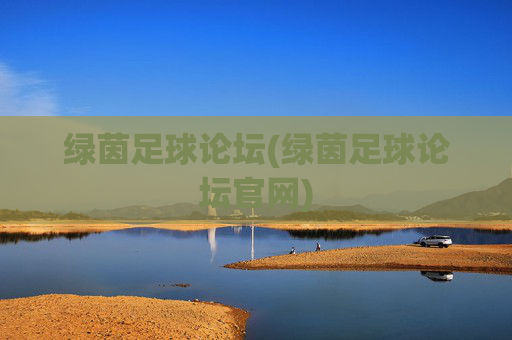 绿茵足球论坛(绿茵足球论坛官网)