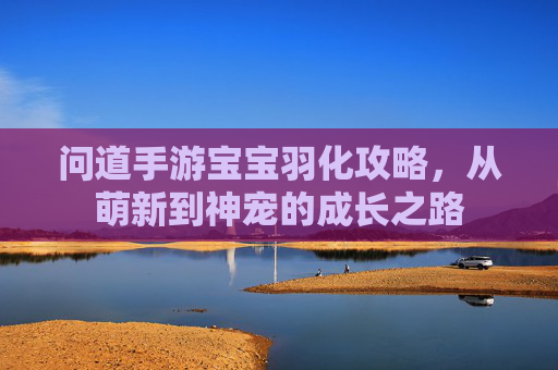 问道手游宝宝羽化攻略，从萌新到神宠的成长之路