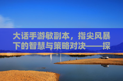 大话手游敏副本，指尖风暴下的智慧与策略对决——探寻敏系角色的巅峰战场