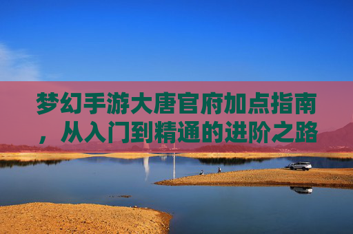 梦幻手游大唐官府加点指南,从入门到精通的进阶之路