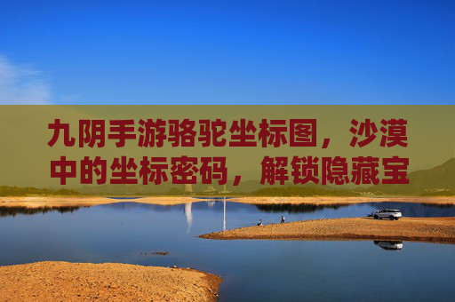 九阴手游骆驼坐标图,沙漠中的坐标密码,解锁隐藏宝藏与任务秘境