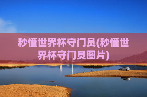 秒懂世界杯守门员(秒懂世界杯守门员图片)