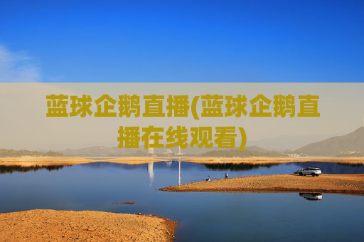 蓝球企鹅直播(蓝球企鹅直播在线观看)