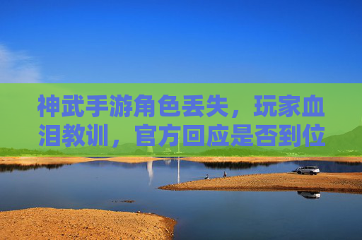 神武手游角色丢失，玩家血泪教训，官方回应是否到位？神武手游角色丢失，玩家血泪教训，官方回应是否到位？