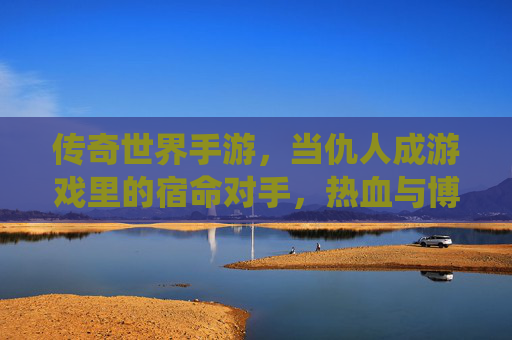 传奇世界手游，当仇人成游戏里的宿命对手，热血与博弈的极致演绎，传奇世界手游，仇人成宿命对手，热血与博弈的极致演绎