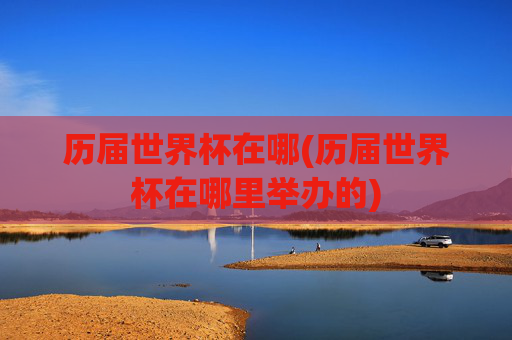 历届世界杯在哪(历届世界杯在哪里举办的)