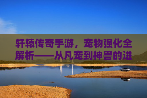 轩辕传奇手游,宠物强化全解析——从凡宠到神兽的进阶之路,轩辕传奇手游宠物强化全解析,从凡宠到神兽的进阶之路