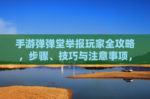 手游弹弹堂举报玩家全攻略，步骤、技巧与注意事项，手游弹弹堂举报玩家全攻略，步骤、技巧与注意事项
