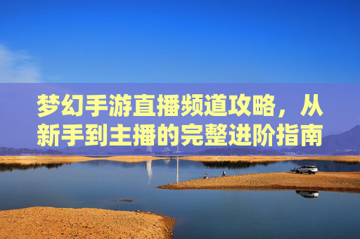 梦幻手游直播频道攻略，从新手到主播的完整进阶指南，梦幻手游直播频道，从新手到主播的完整进阶指南