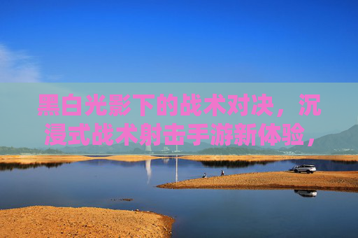 黑白光影下的战术对决，沉浸式战术射击手游新体验，黑白光影下的战术对决，沉浸式战术射击手游新体验