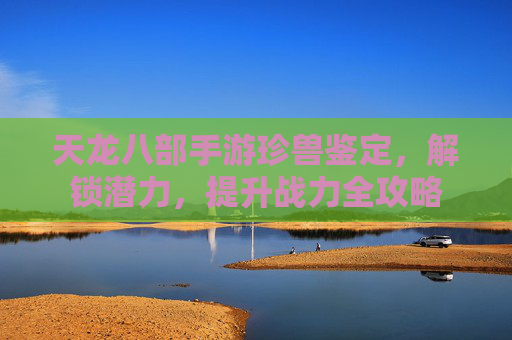 天龙八部手游珍兽鉴定,解锁潜力,提升战力全攻略