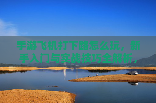手游飞机打下路怎么玩,新手入门与实战技巧全解析,手游飞机打下路玩法,新手入门与实战技巧全解析