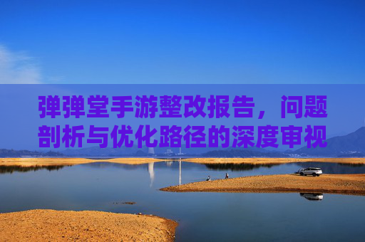 弹弹堂手游整改报告,问题剖析与优化路径的深度审视