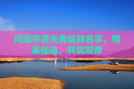 问道手游夫妻结拜名字,情系仙途,共筑双修